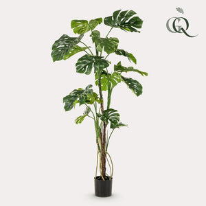 Künstliche Monstera, H180cm