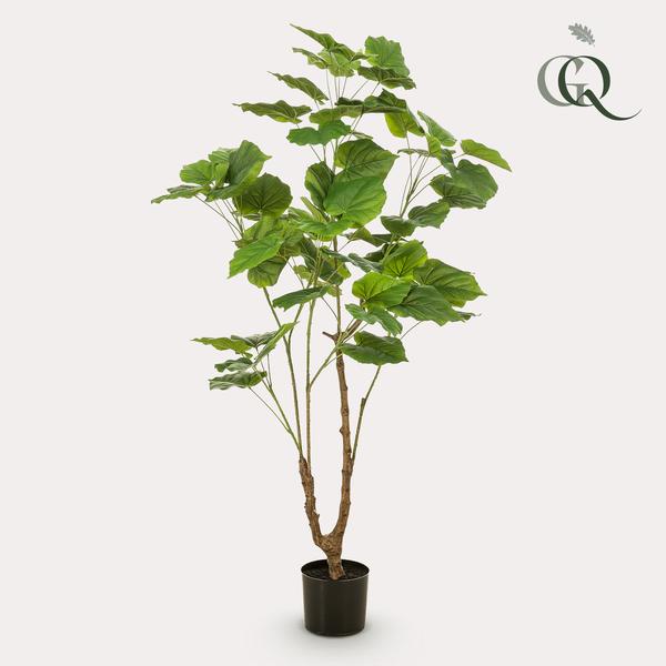Künstlicher Ficus-Strauch, H 125 cm