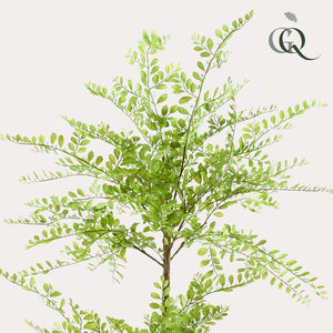 Sophora Kunststrauch H140cm
