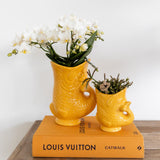Kolibri-Orchideen | Witte Phalaenopsis Orchidee - Nazaré - Topf Ø9cm | Bloeiende kamerplant - vers van de kweker
