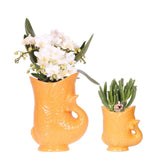 Kolibri-Orchideen | Set aus weißen Orchideen Nazaré in Sukkulentenform in Fischtopf Orange - Topf Ø9cm & Ø6cm | Bloeiende kamerplant - vers van de kweker