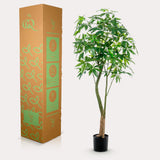 Kunstpflanze - Pachira Aquatica - Geldboom - 180 cm