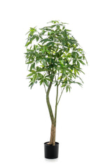Kunstpflanze - Pachira Aquatica - Geldboom - 180 cm
