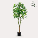 Kunstpflanze - Pachira Aquatica - Geldboom - 180 cm